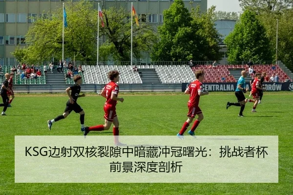 bian-she-shuang-he-lie-xi-zhong-an-cang-chong-guan-shu-guang-tiao-zhan-zhe-bei-qian-jing-shen-du-pou-xi-2-703.jpg
